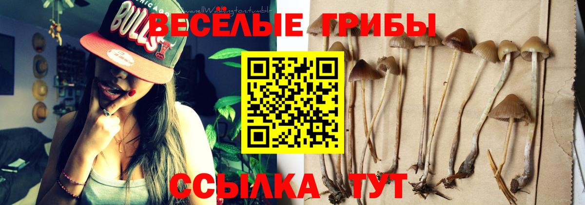 Галлюциногенные грибы Cubensis Выкса