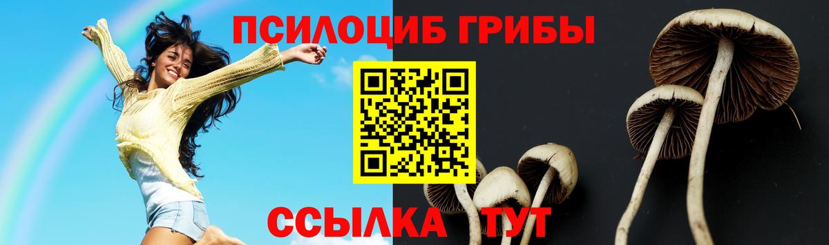 Выкса  Галлюциногенные грибы MAGIC MUSHROOMS  Псилоцибиновые грибы ЛСД  Вход с VPN 