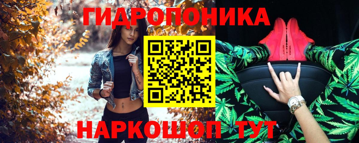 Бошки Шишки планчик Выкса